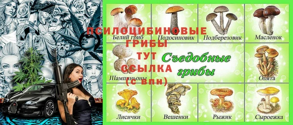 прущий лед Бородино