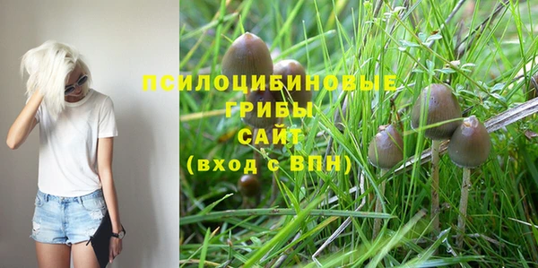 Альфа ПВП Бугульма