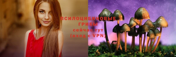 прущий лед Бородино
