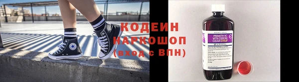 прущий лед Бородино
