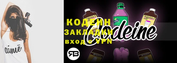 прущий лед Бородино