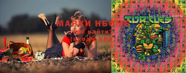 прущий лед Бородино
