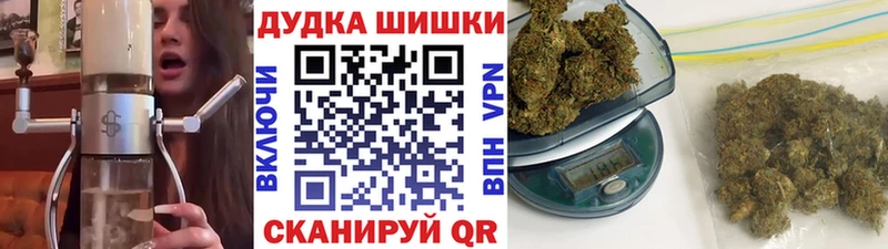 Бошки марихуана план  Гремячинск 
